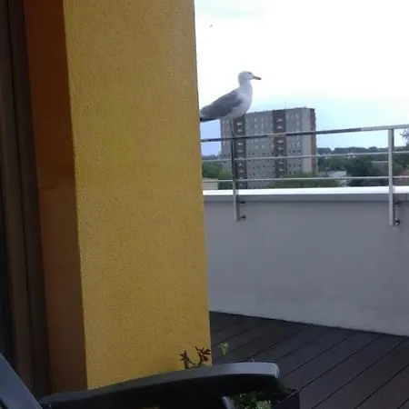 Wysmienity Miodowy Колобжег